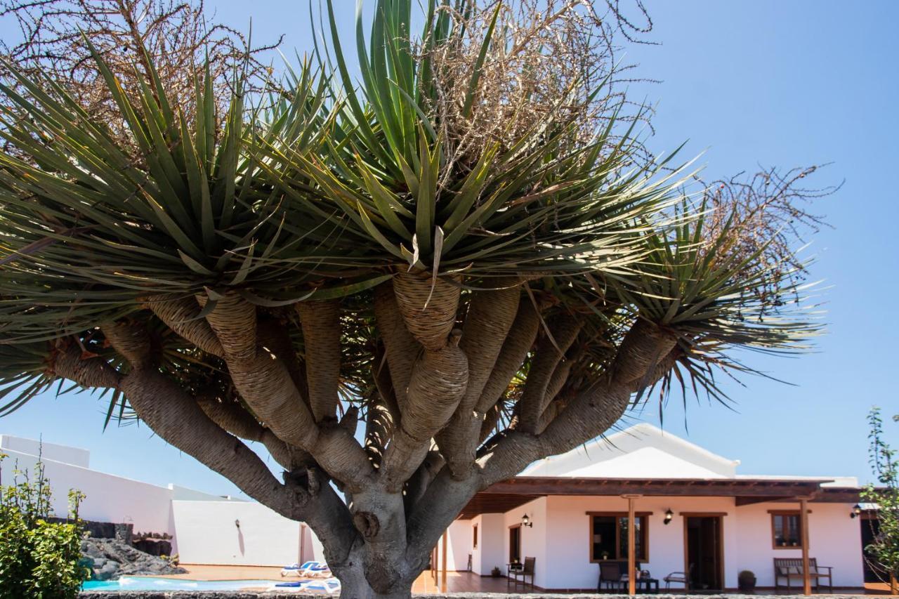 Casa Lola Lanzarote Piscina Climatizada Y Wifi Free Villa San Bartolomé Eksteriør bilde